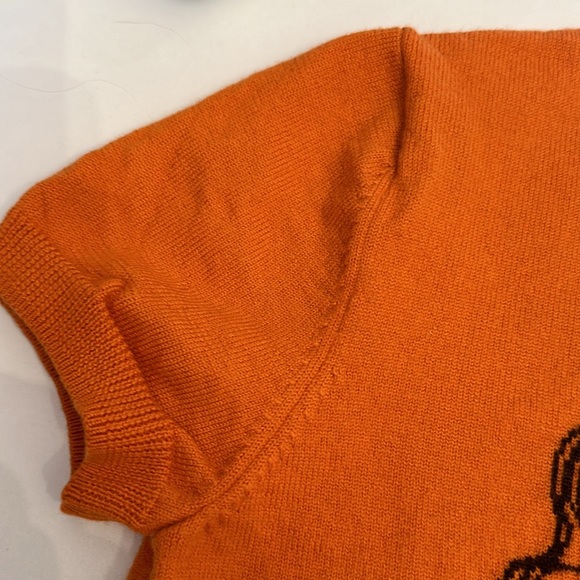 Lilly Pulitzer Lion Sweater Short Sleeve - Picture 4 of 4